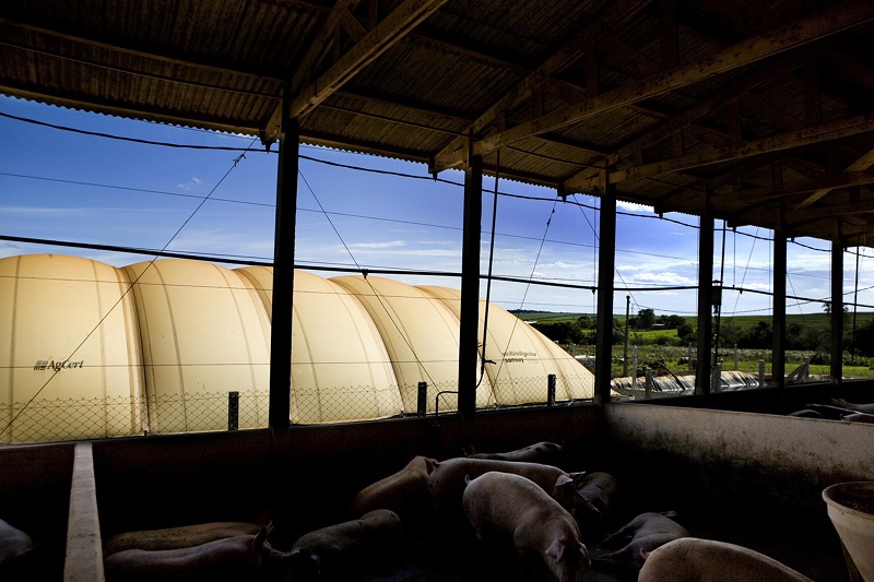 Você está visualizando atualmente Fórum abrigará evento paralelo com reunião sobre biogás nas cadeias de  proteína animal